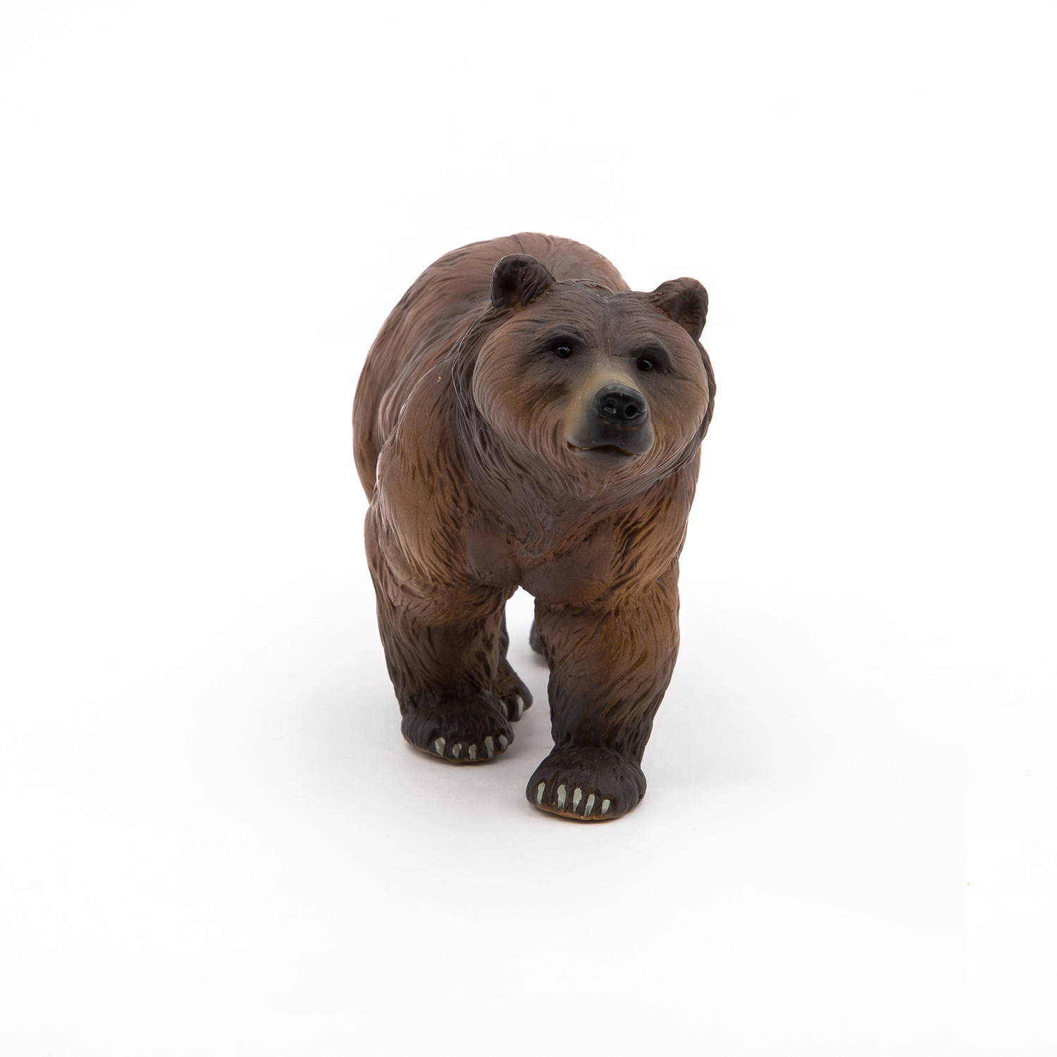 MEDVĚD PYRINEJSKÝ