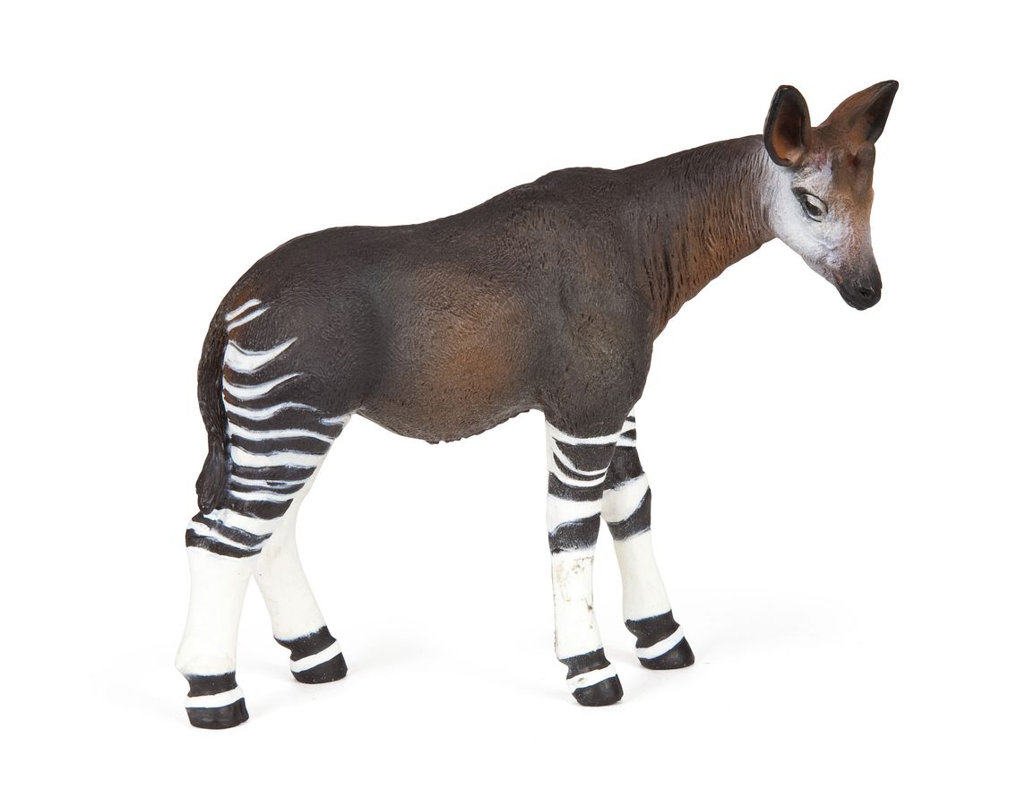 OKAPI
