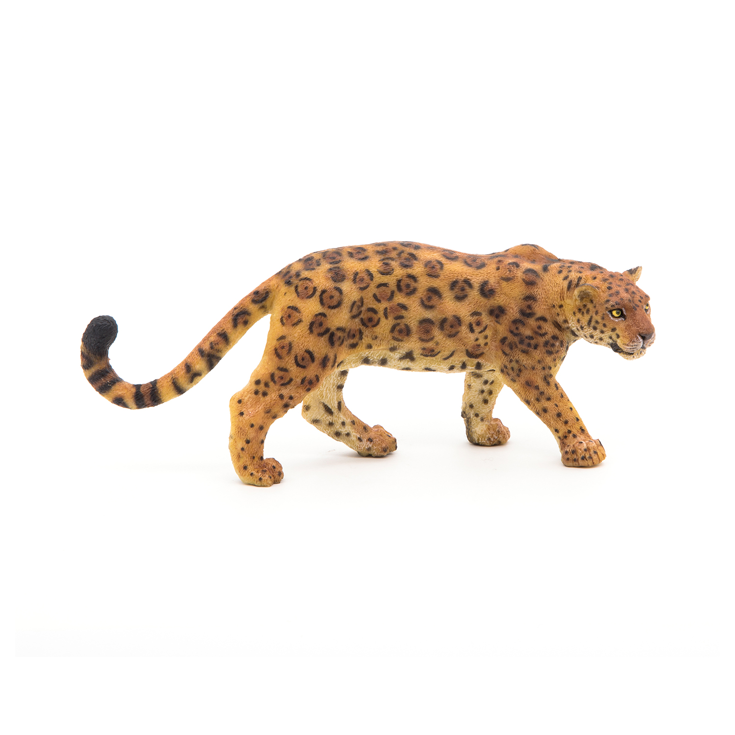 JAGUÁR