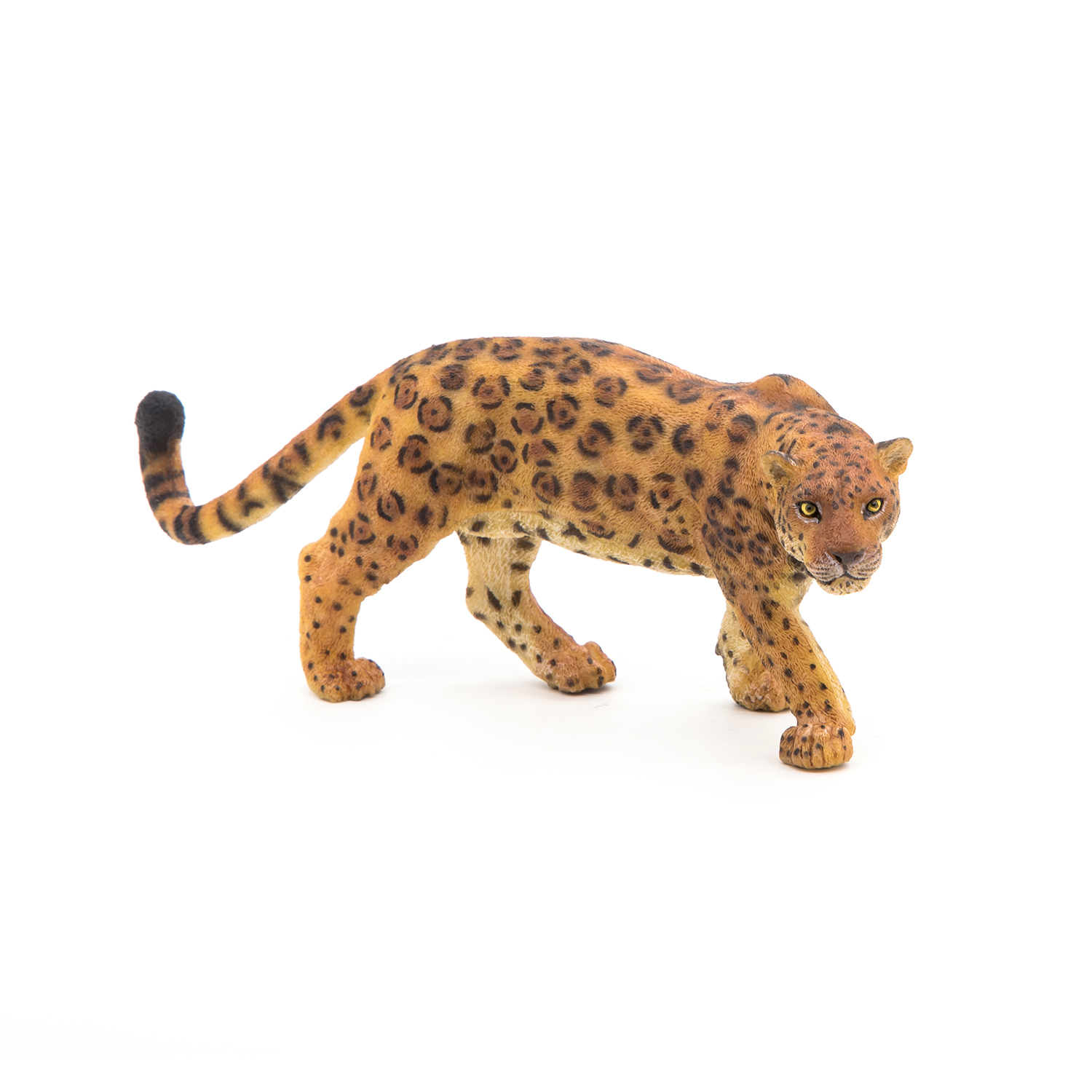 JAGUÁR