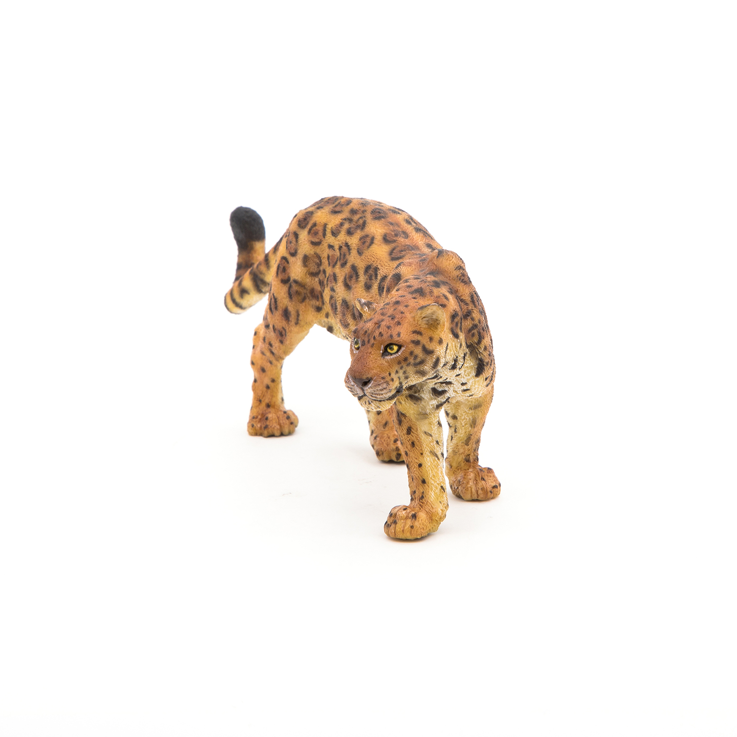JAGUÁR
