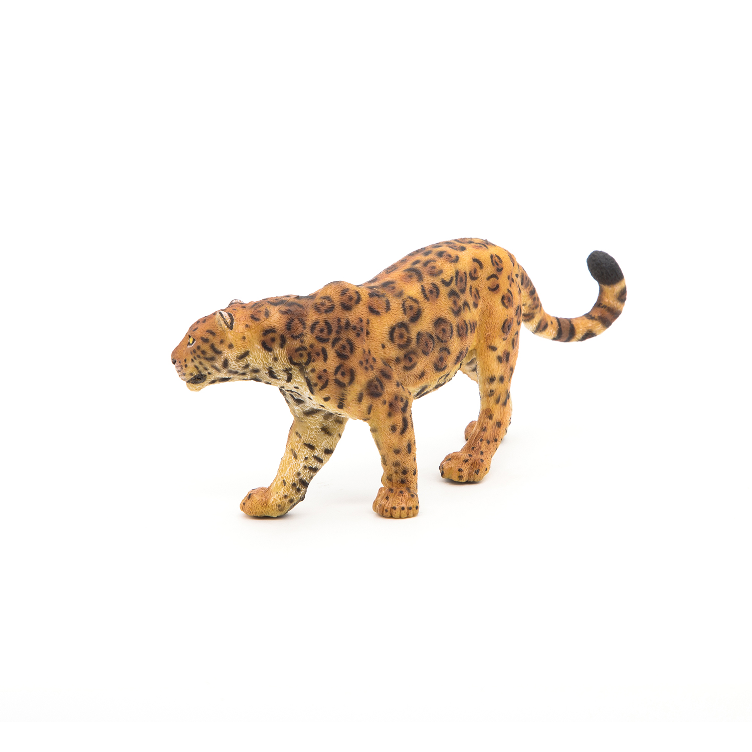 JAGUÁR