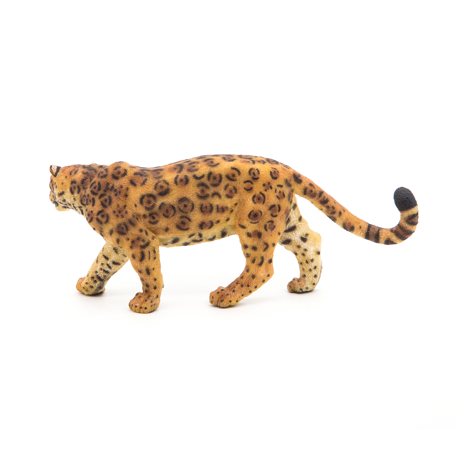 JAGUÁR