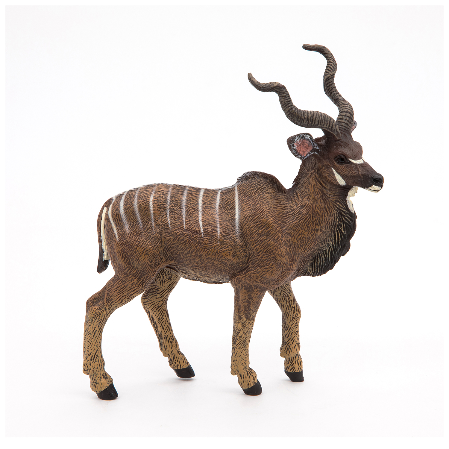 ANTILOPA KUDU