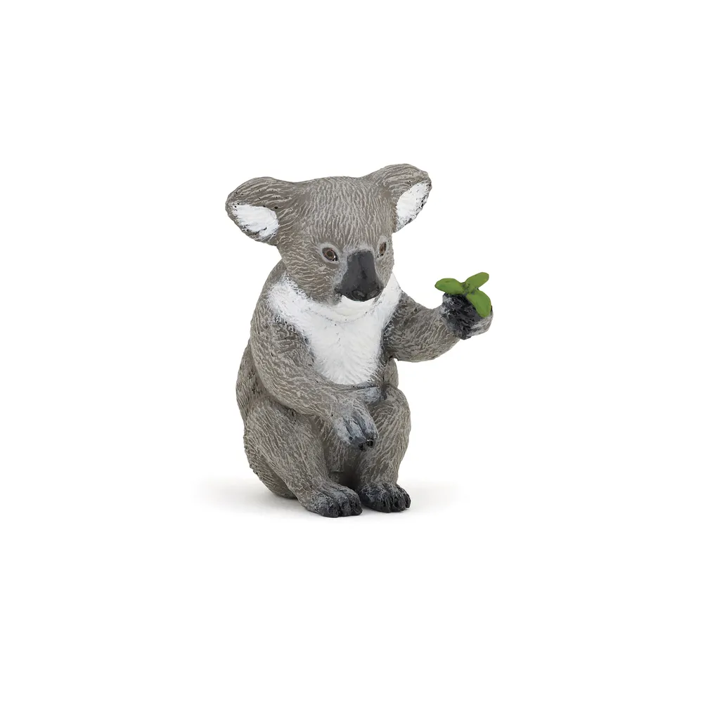 KOALA