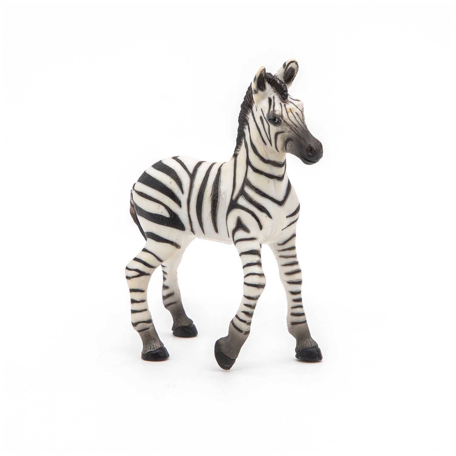 ZEBRA MLÁDĚ