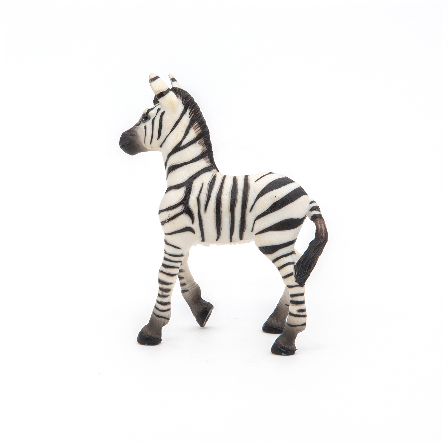 ZEBRA MLÁDĚ