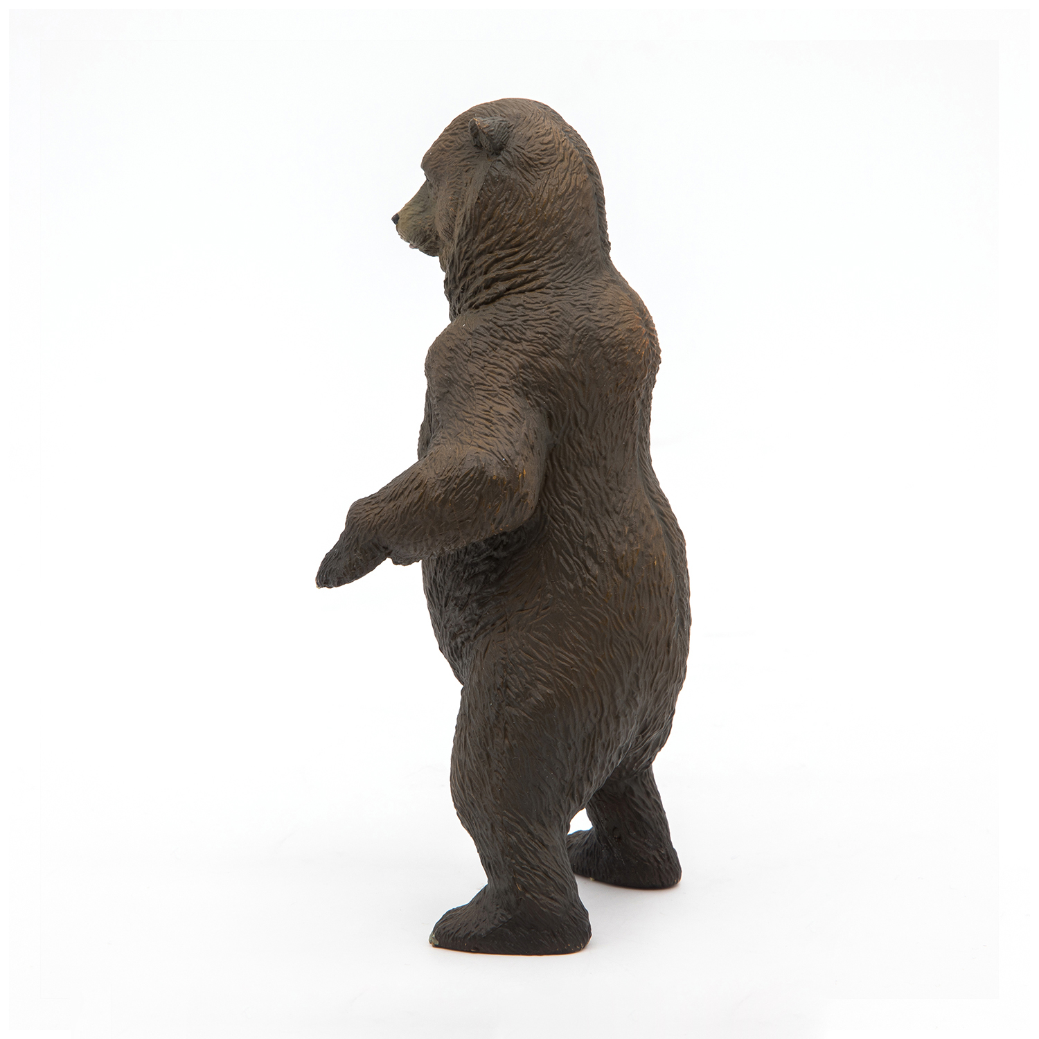 MEDVĚD GRIZZLY
