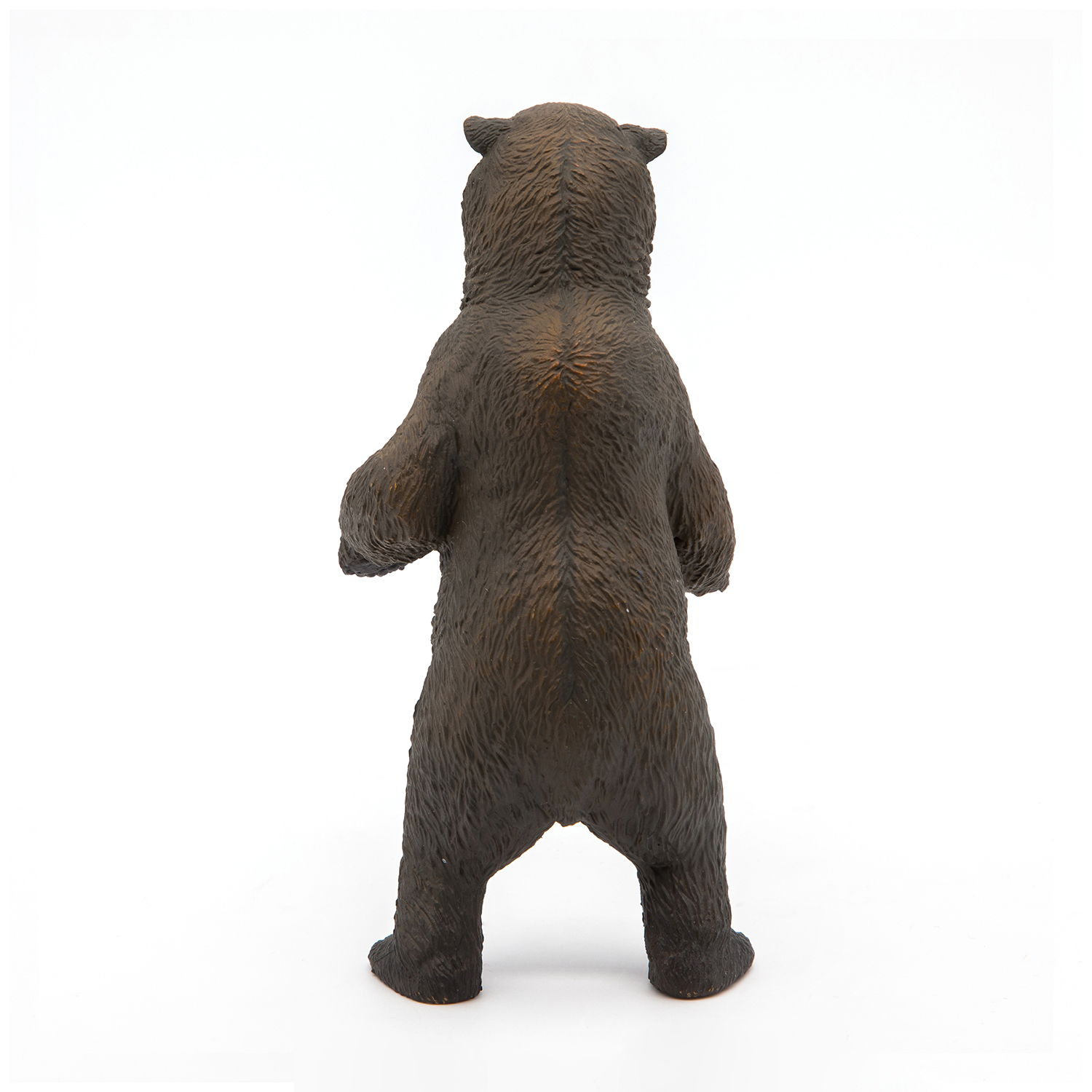 MEDVĚD GRIZZLY