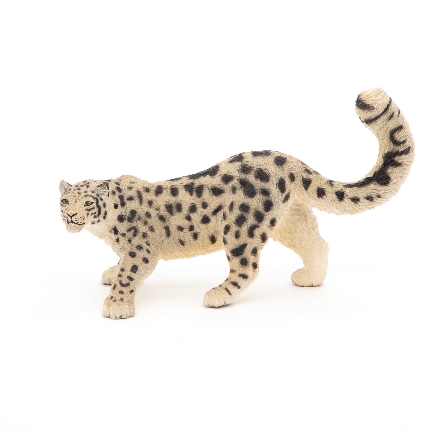 SNĚŽNÝ LEOPARD