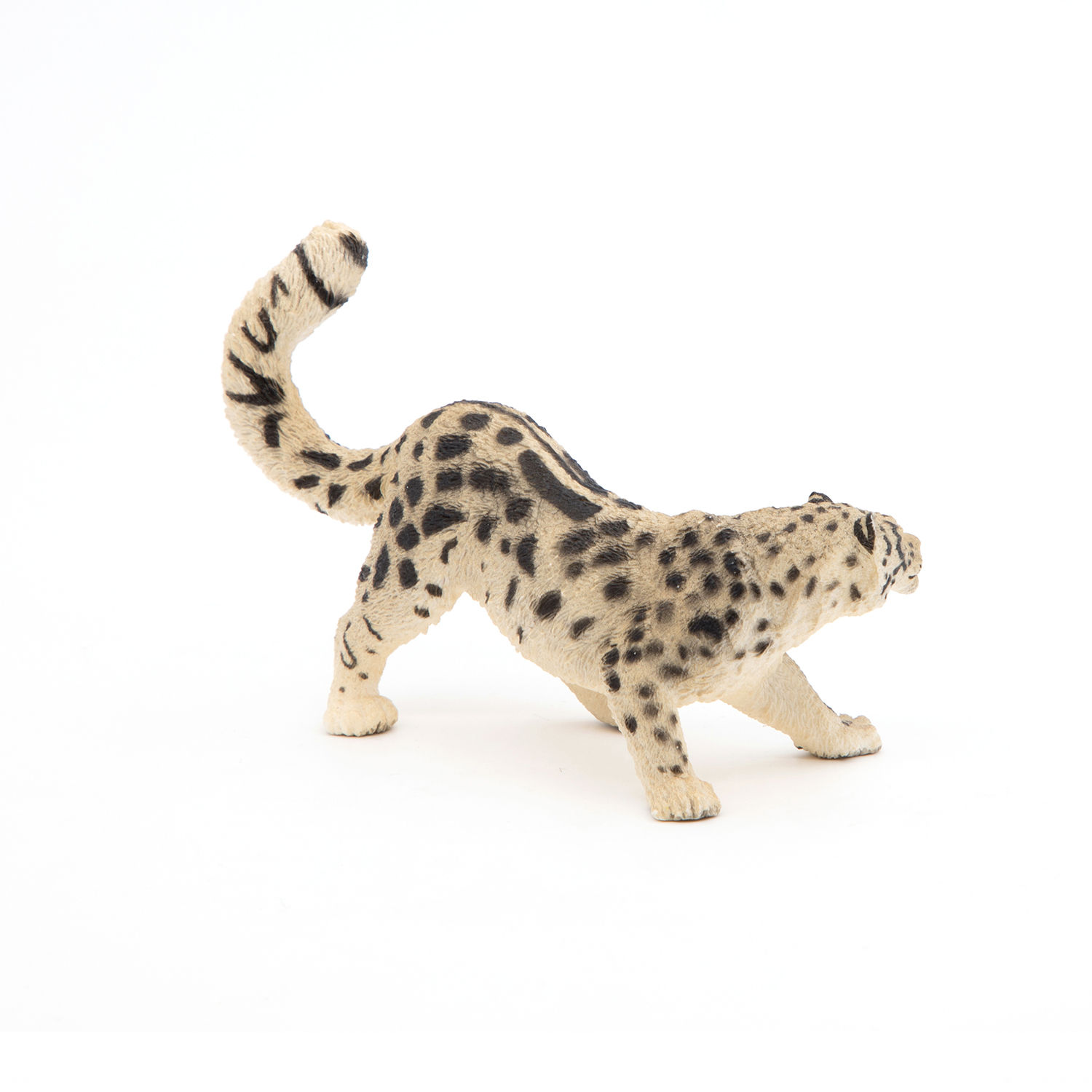 SNĚŽNÝ LEOPARD