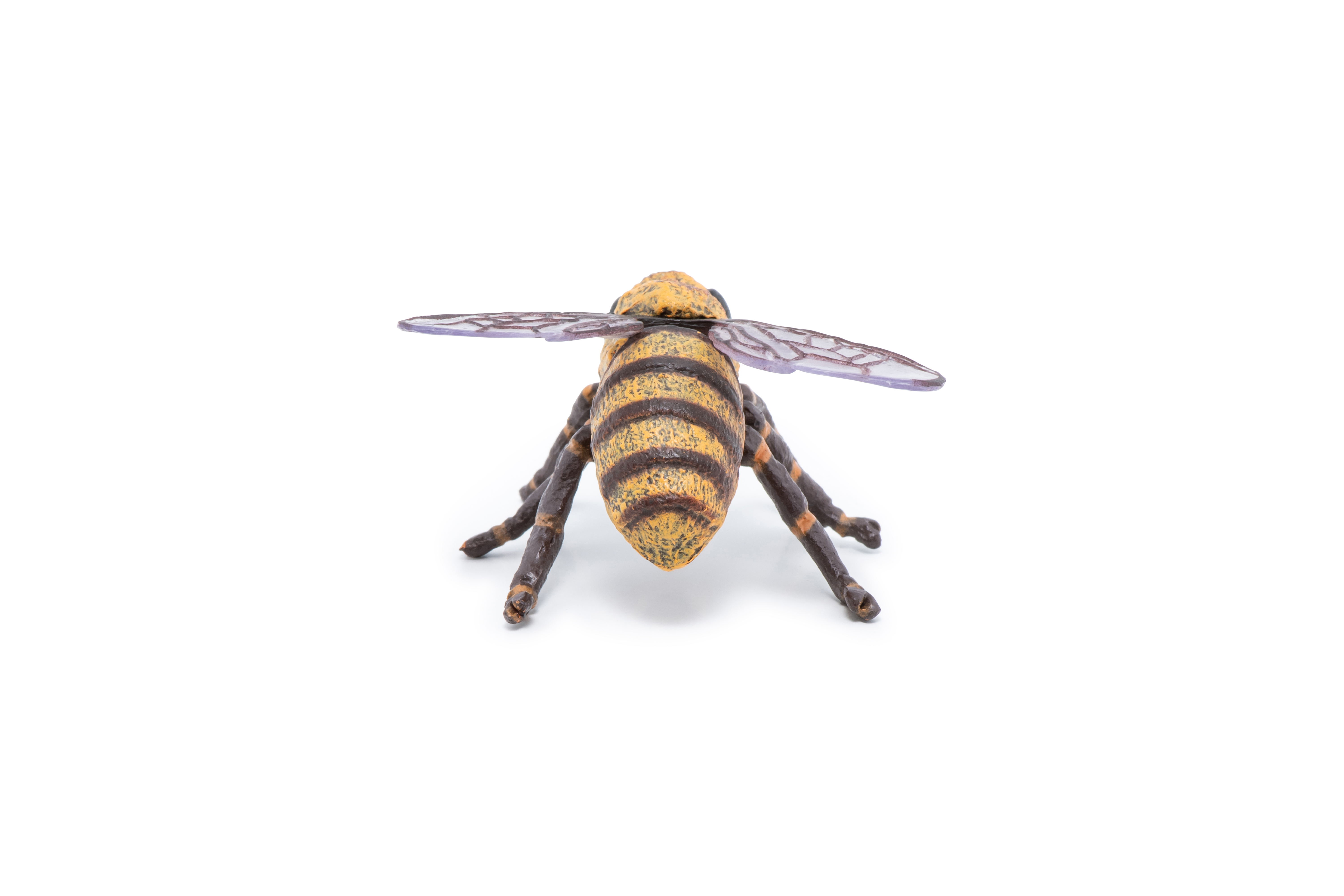 VČELA