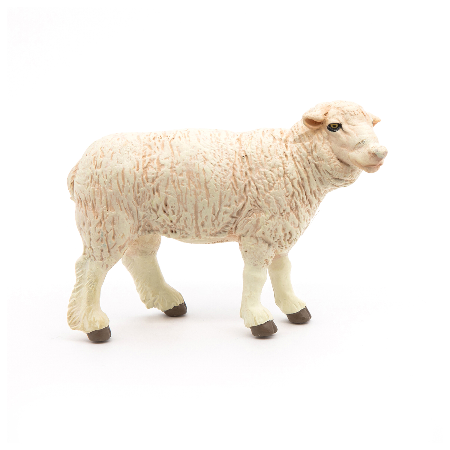 OVCE MERINOS