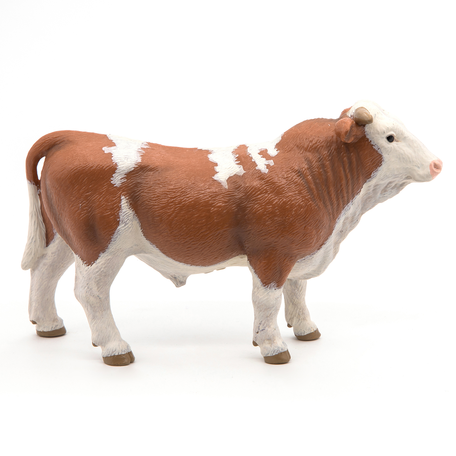 SIMMENTAL BÝK