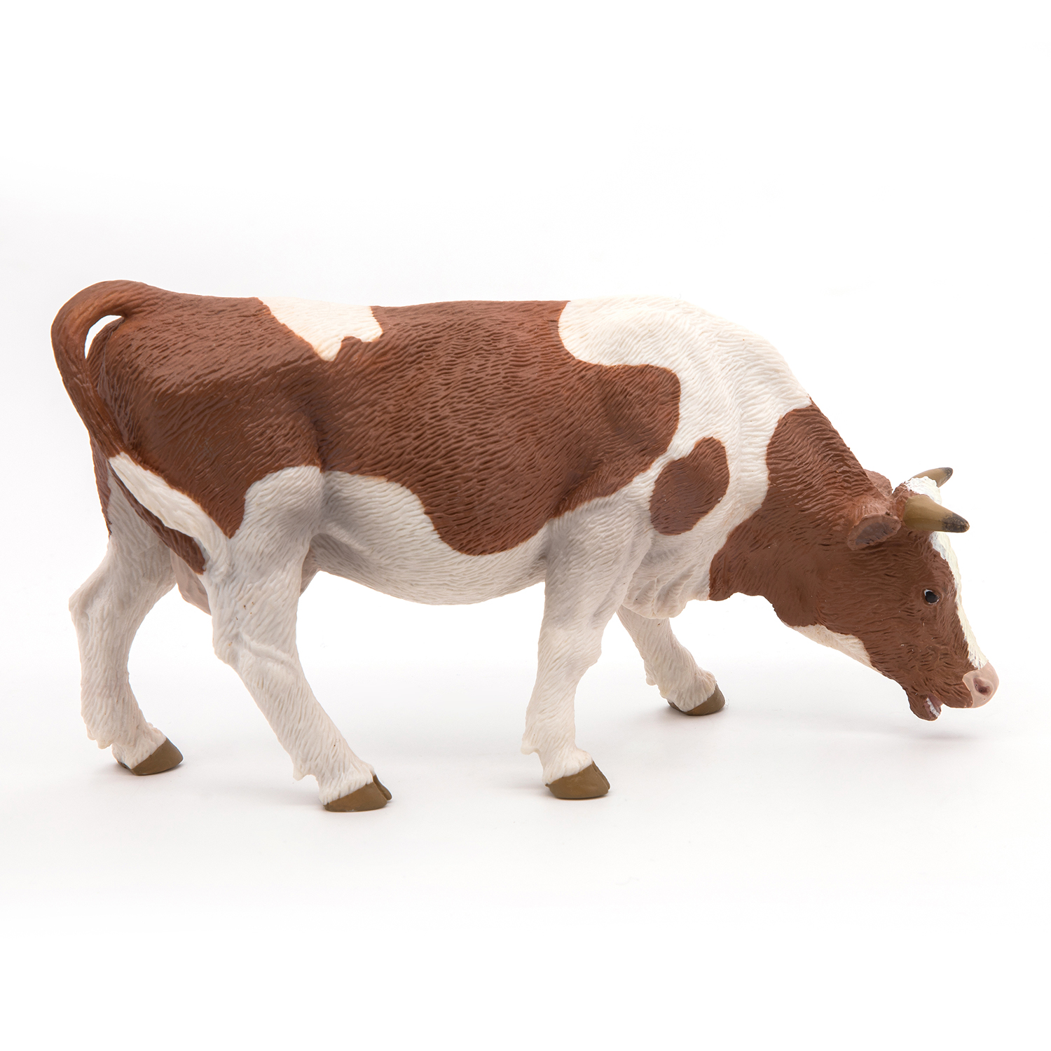 KRÁVA SIMMENTAL PASOUCÍ