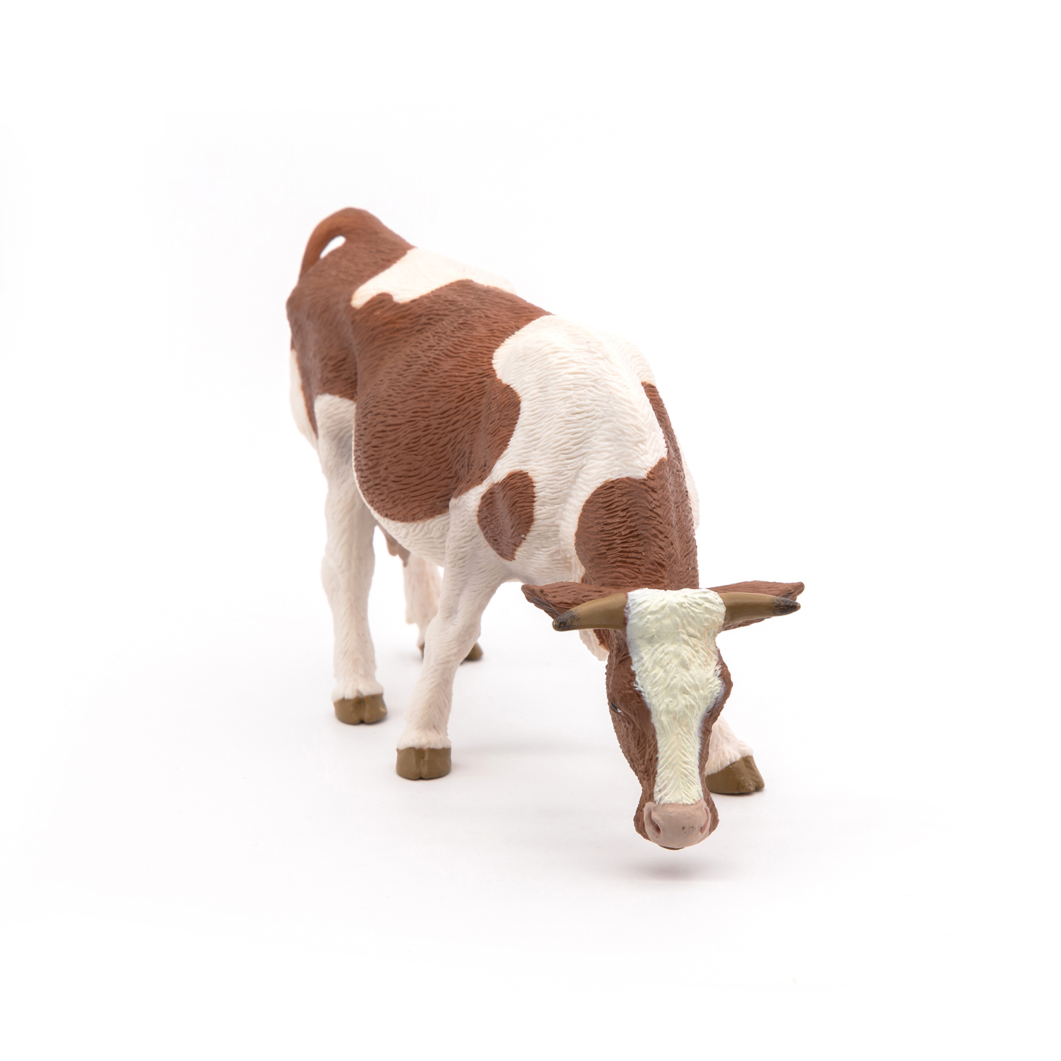 KRÁVA SIMMENTAL PASOUCÍ