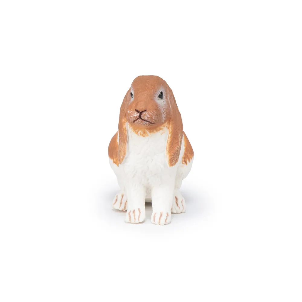 KRÁLÍK UŠATÝ