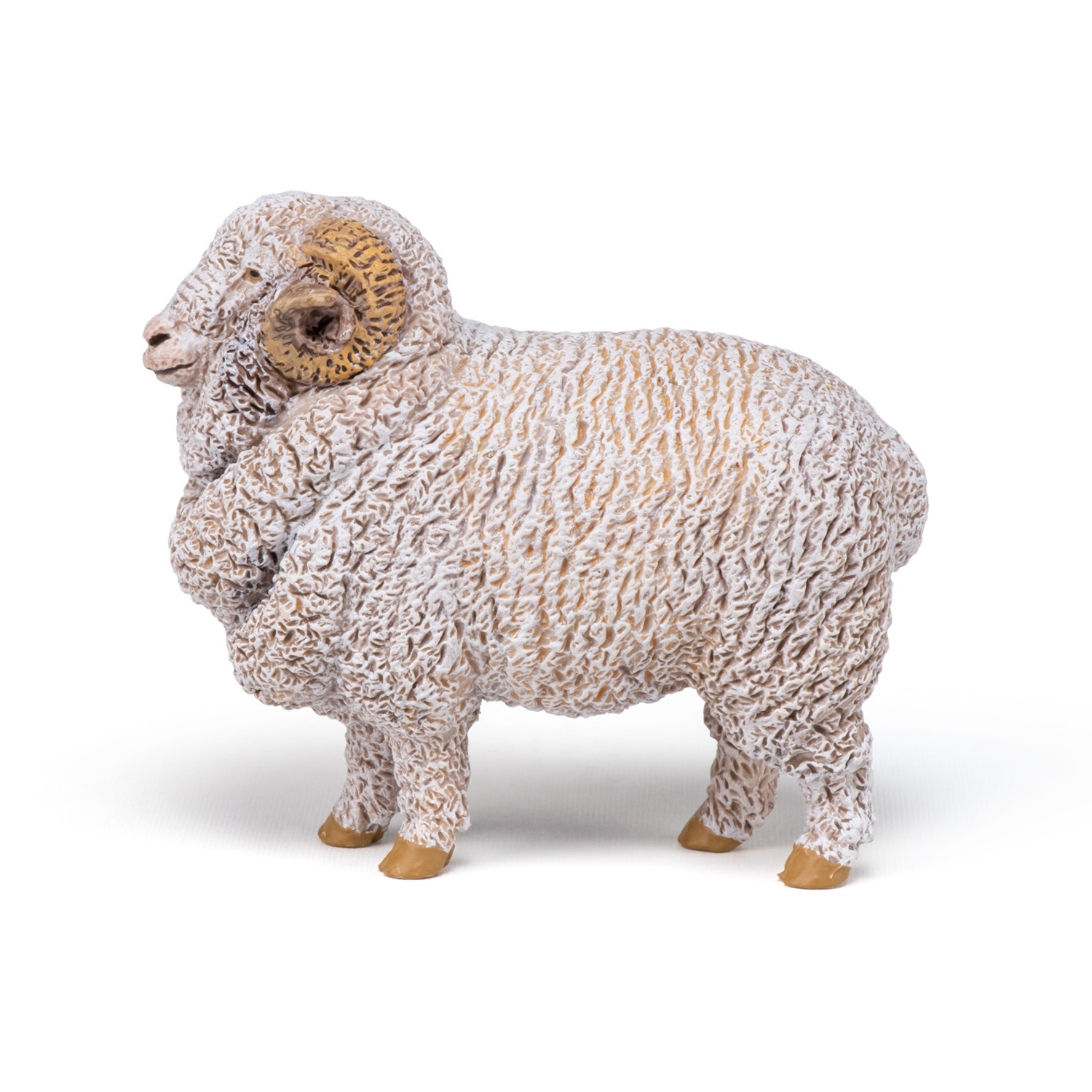 BERAN MERINO