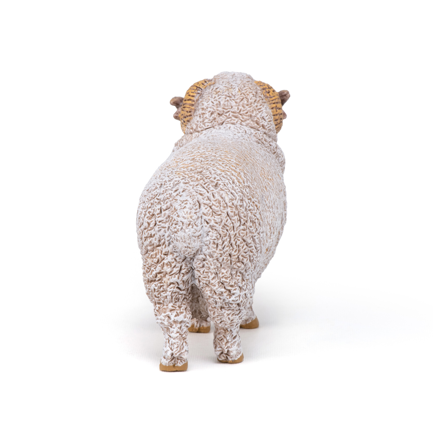 BERAN MERINO