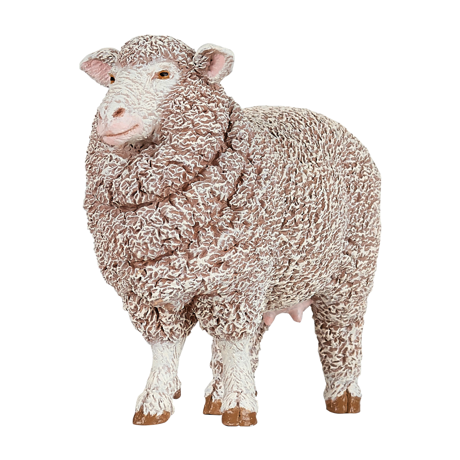 OVCE MERINO
