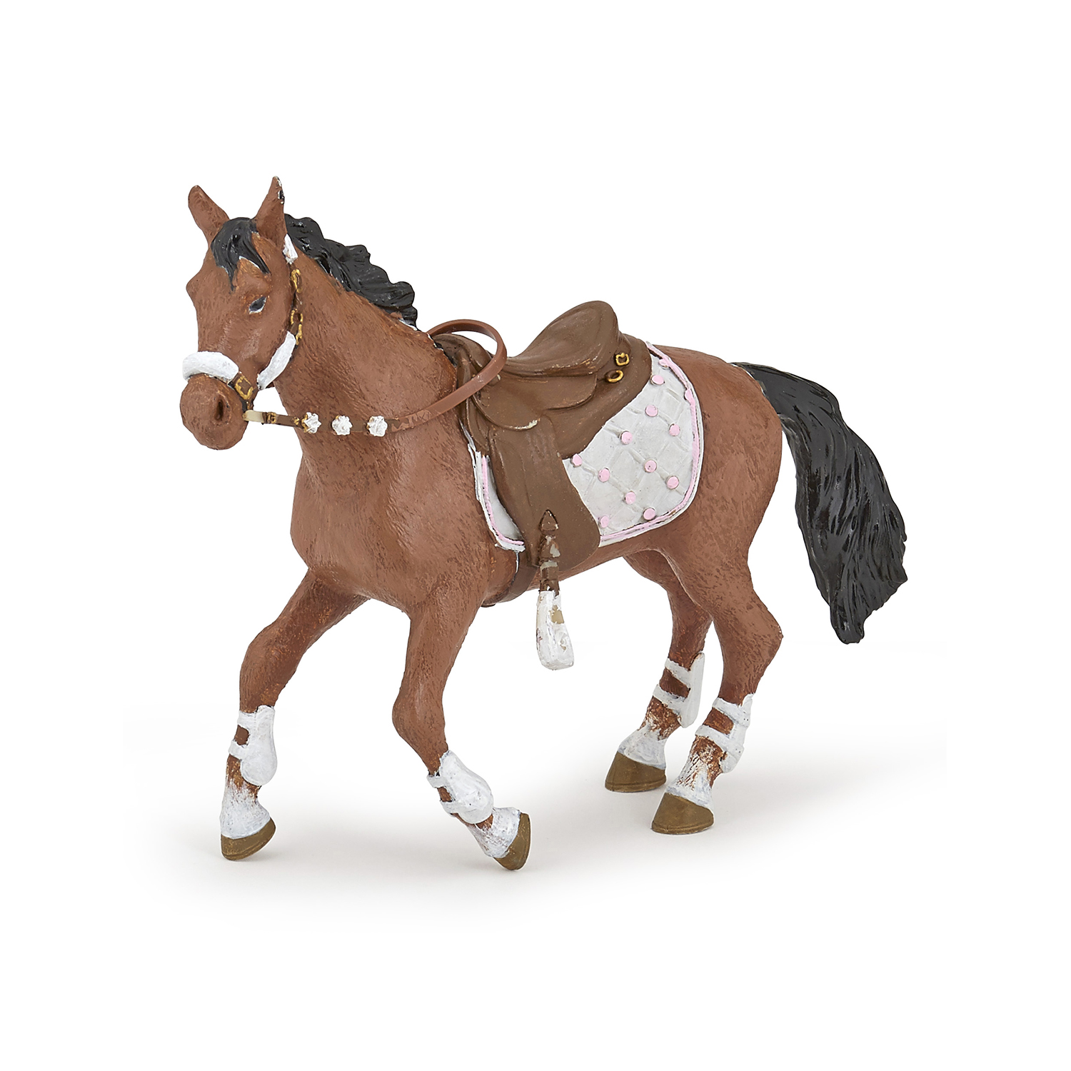 KŮŇ CAVALIER