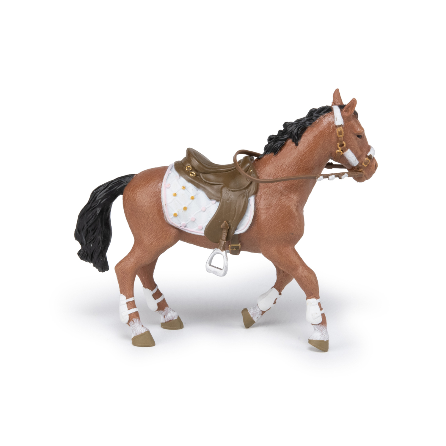KŮŇ CAVALIER