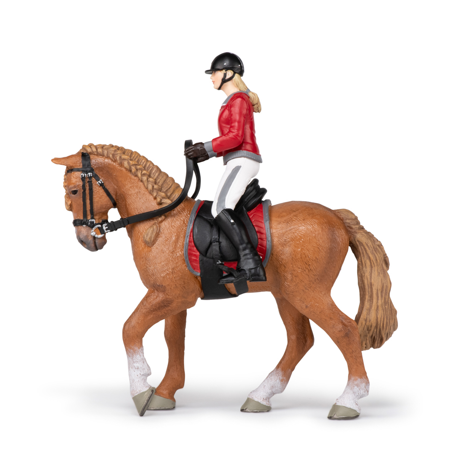 SOUTĚŽNÍ KŮŇ HNĚDÝ S JEZDKYNÍ