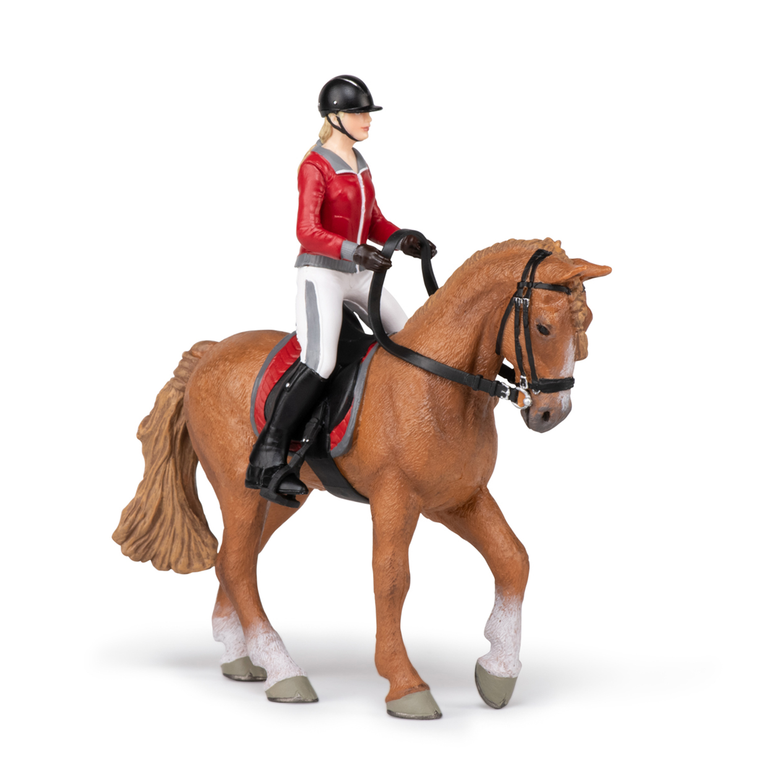 SOUTĚŽNÍ KŮŇ HNĚDÝ S JEZDKYNÍ