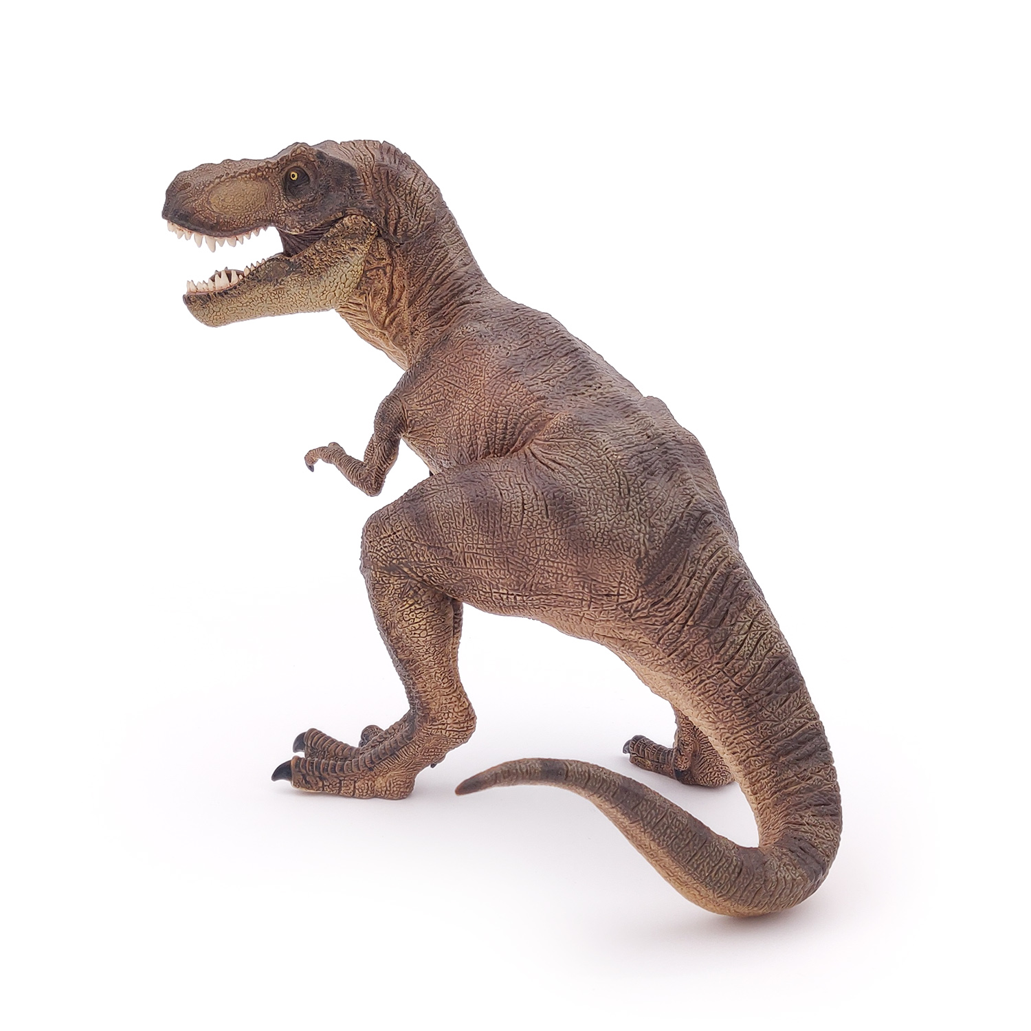 TYRANNOSAURUS