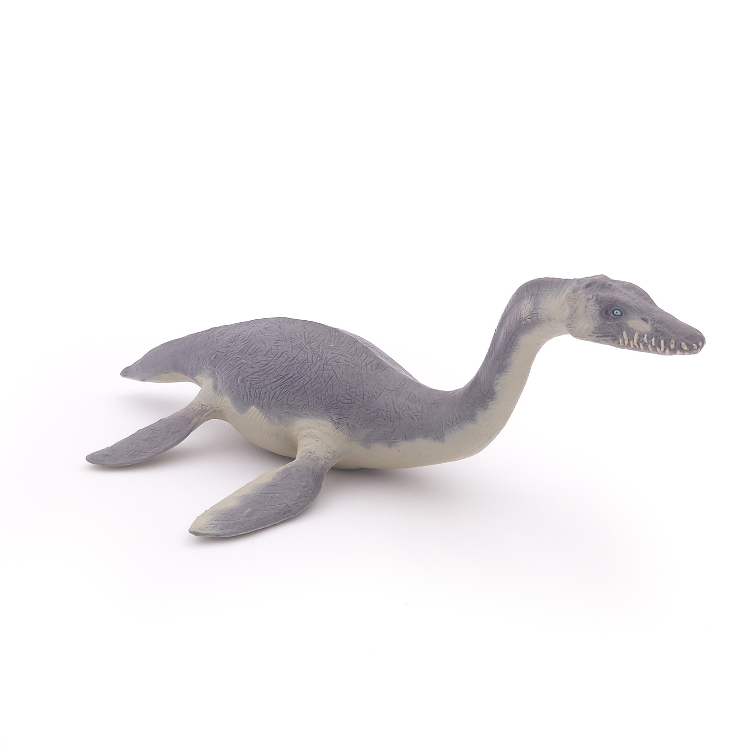 PLESIOSAURUS