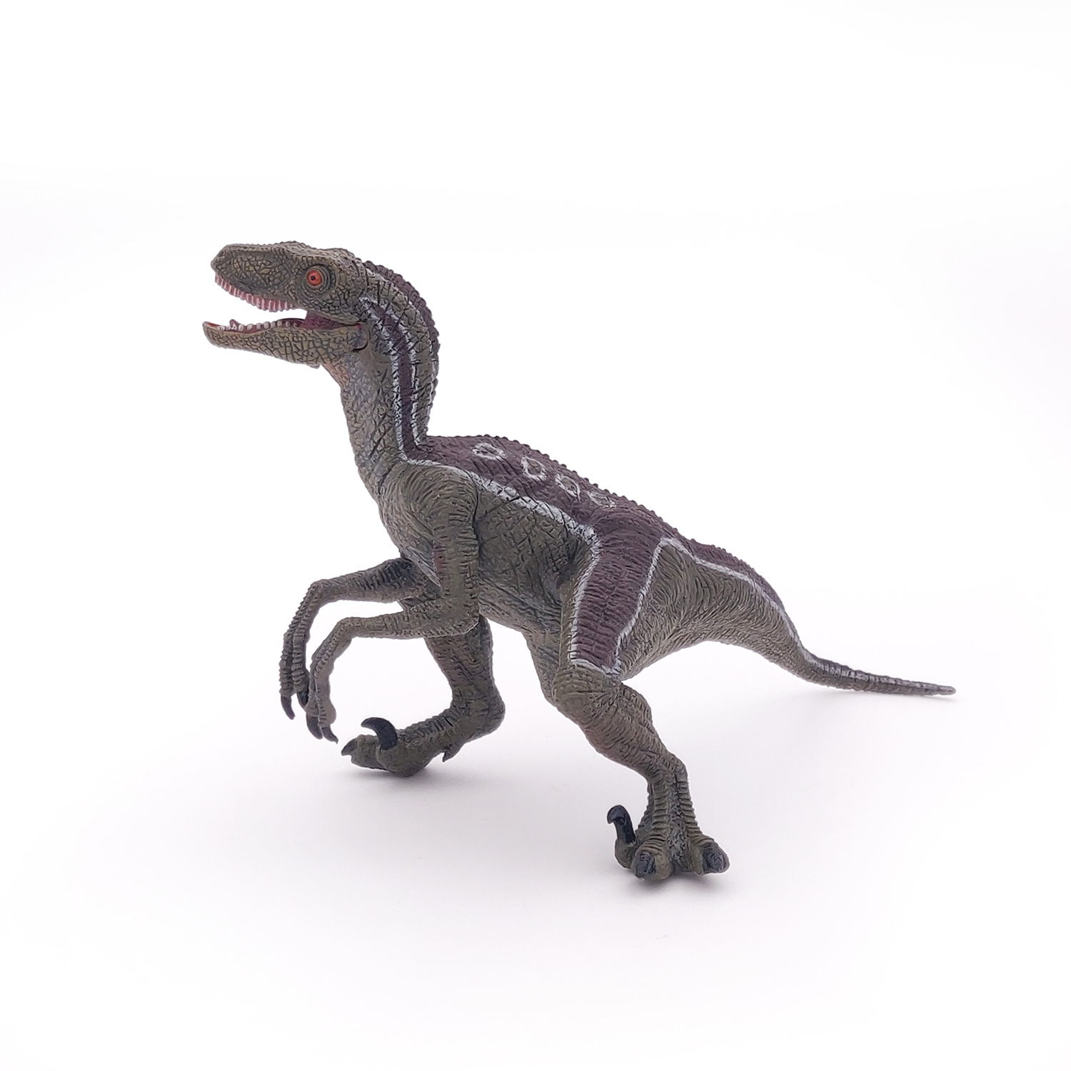 VELOCIRAPTOR NEW