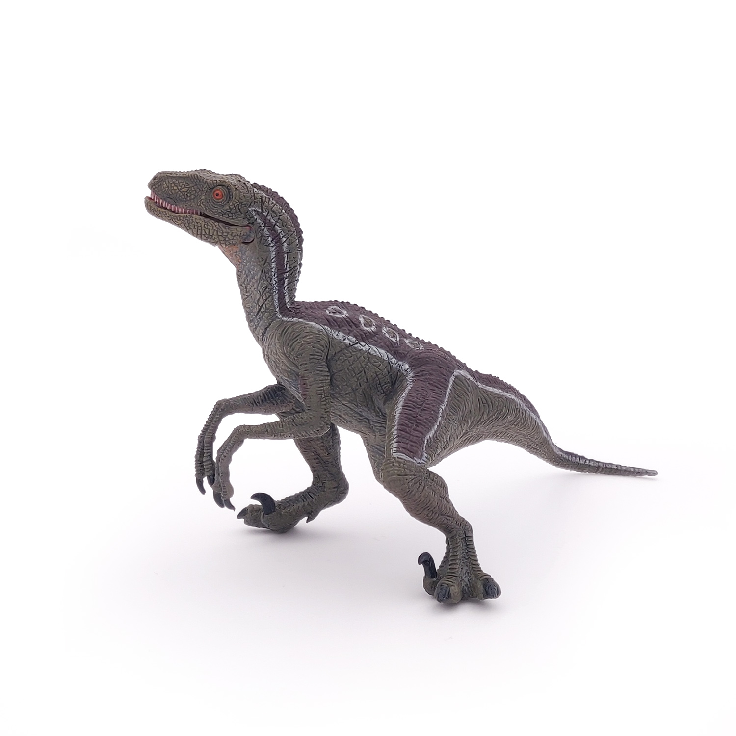VELOCIRAPTOR NEW