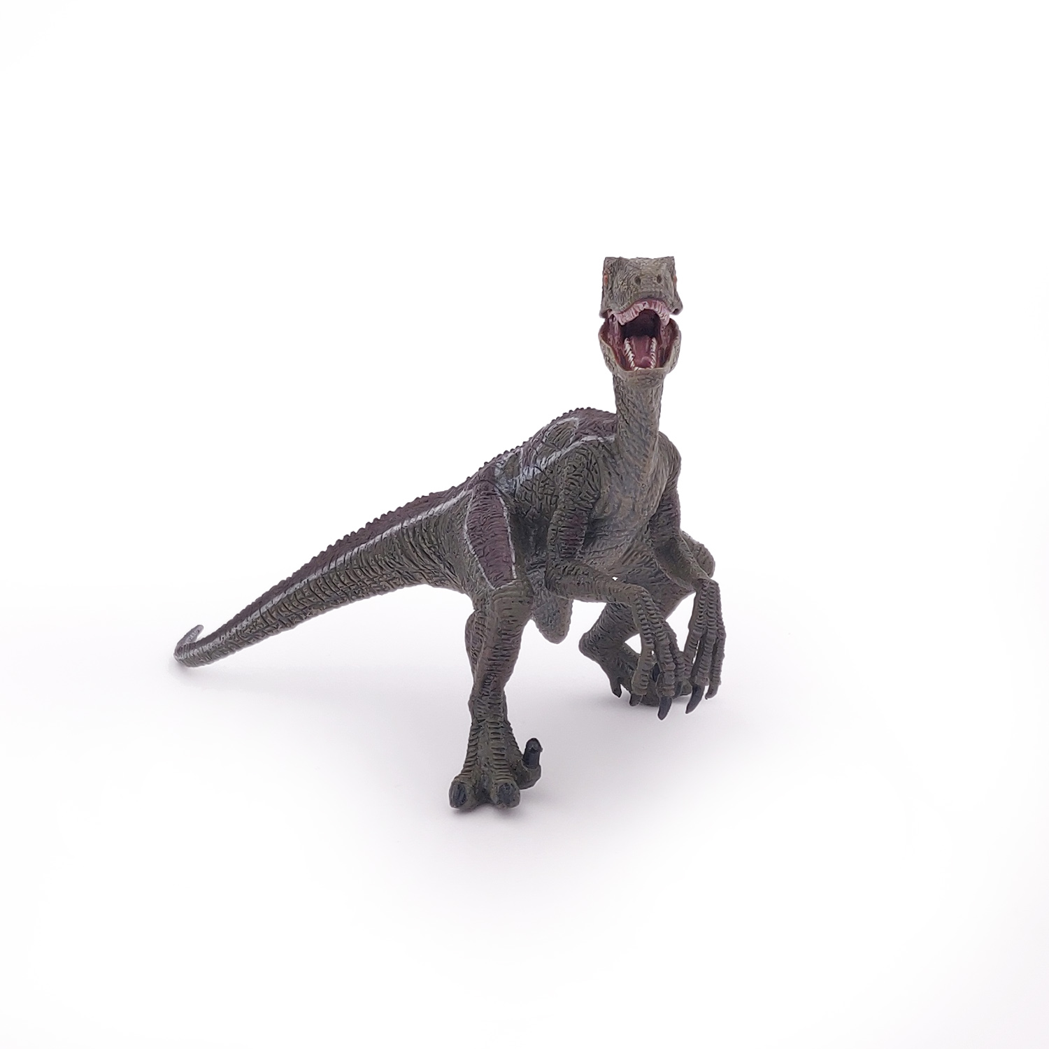 VELOCIRAPTOR NEW