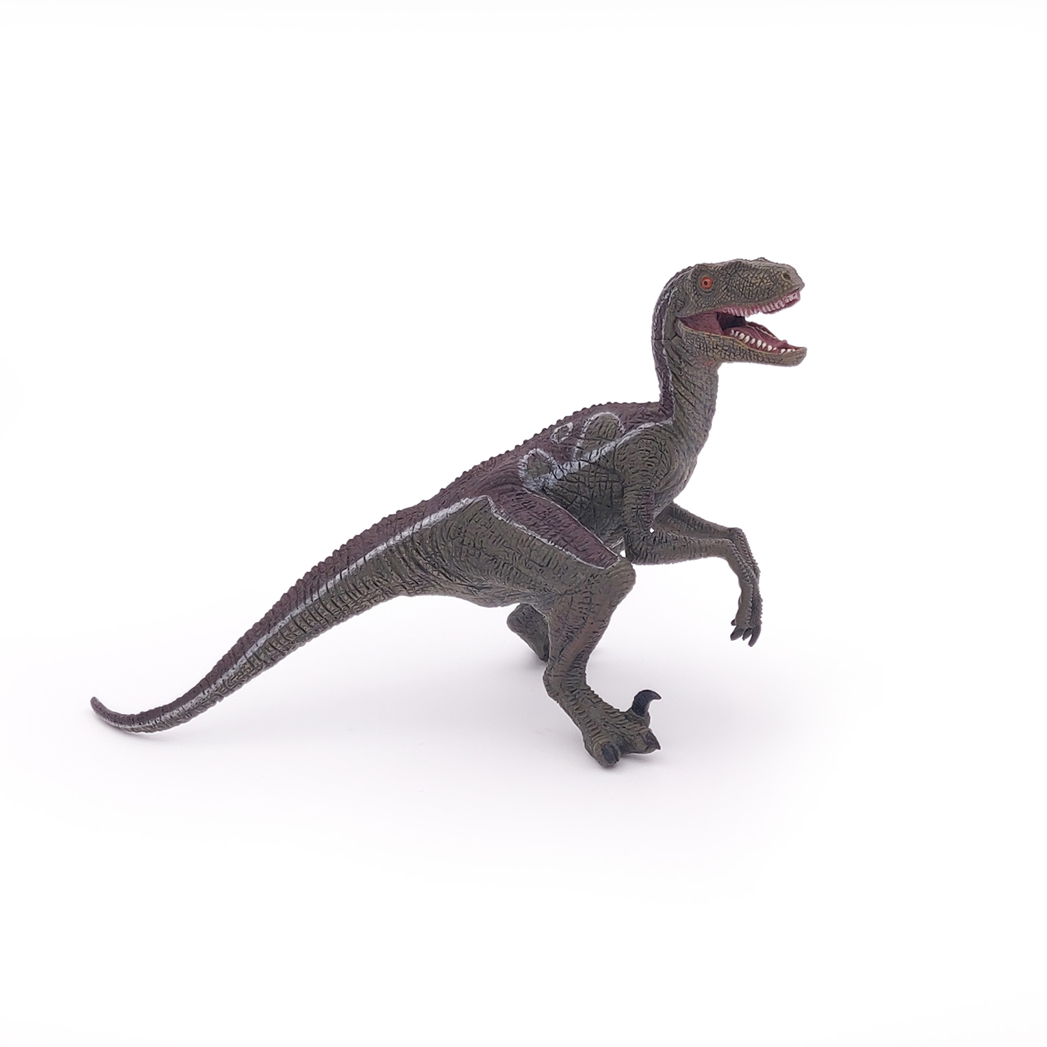 VELOCIRAPTOR NEW