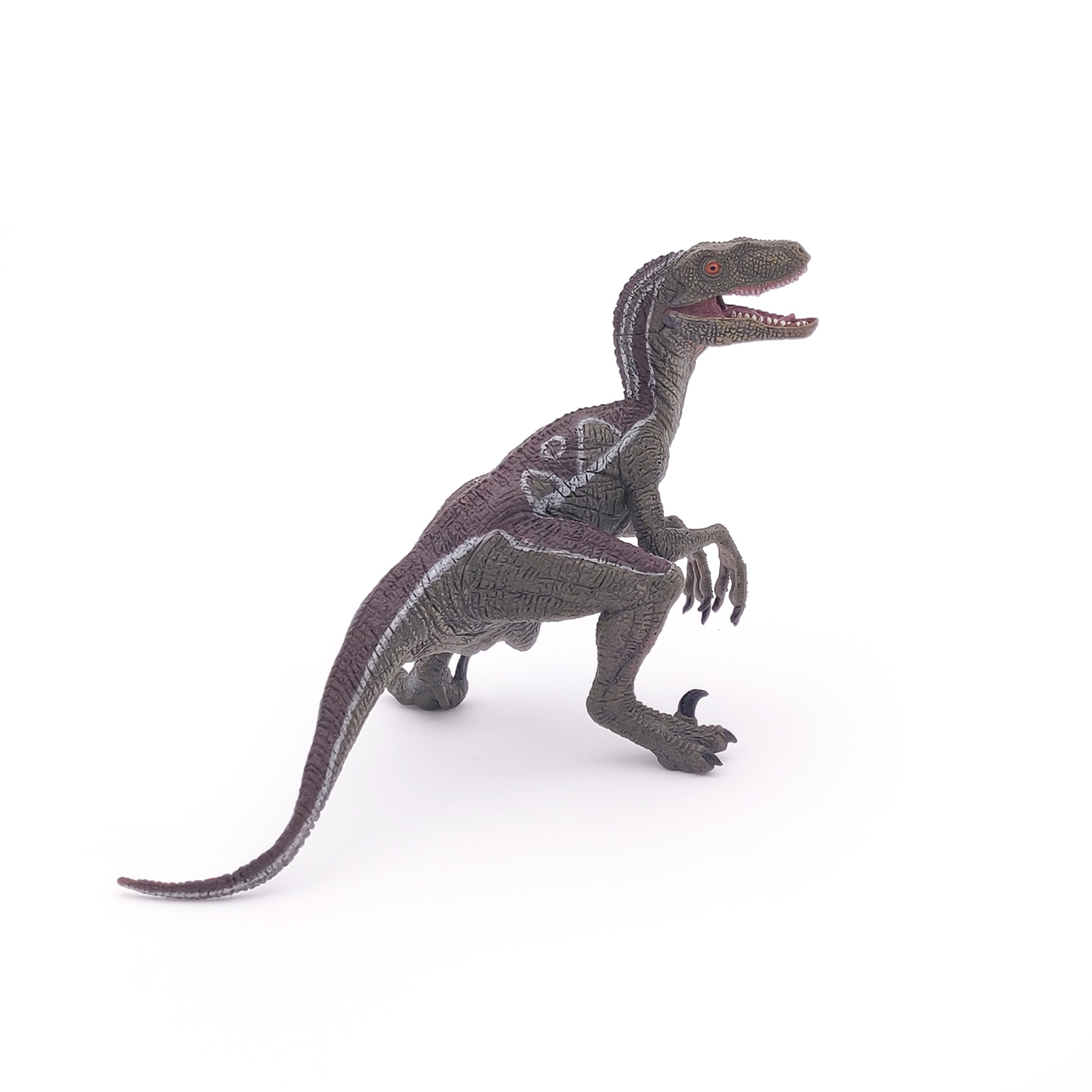 VELOCIRAPTOR NEW