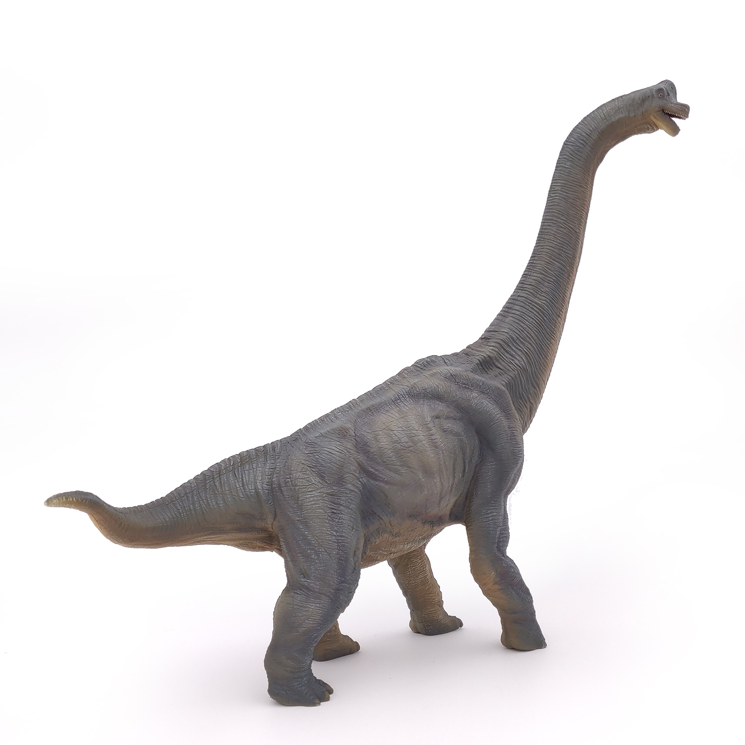 BRACHIOSAURUS
