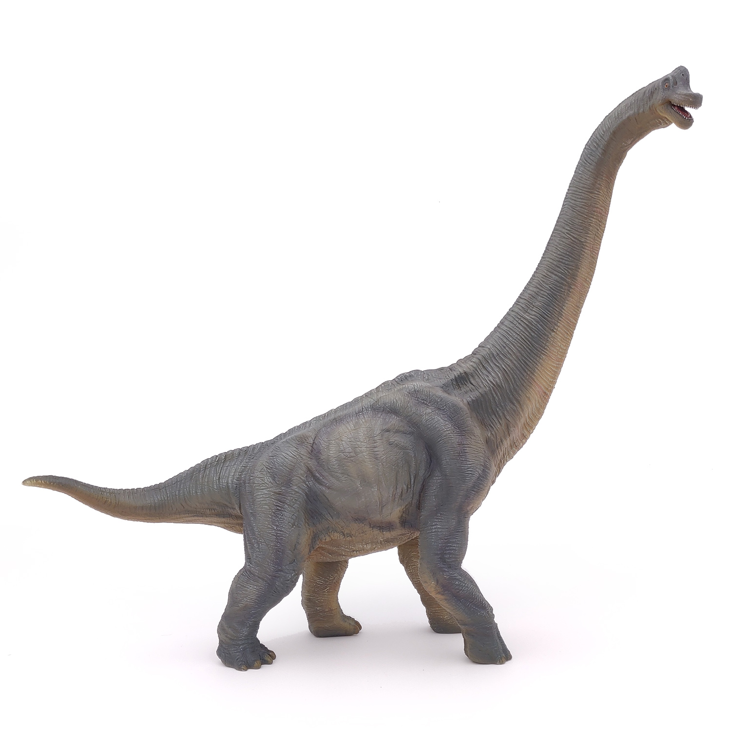 BRACHIOSAURUS