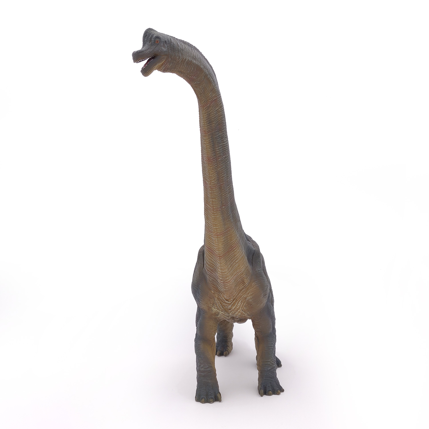 BRACHIOSAURUS