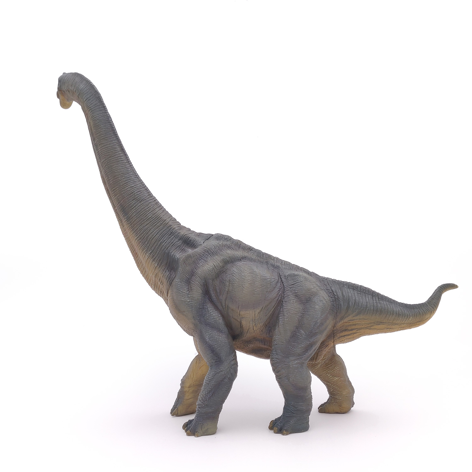 BRACHIOSAURUS