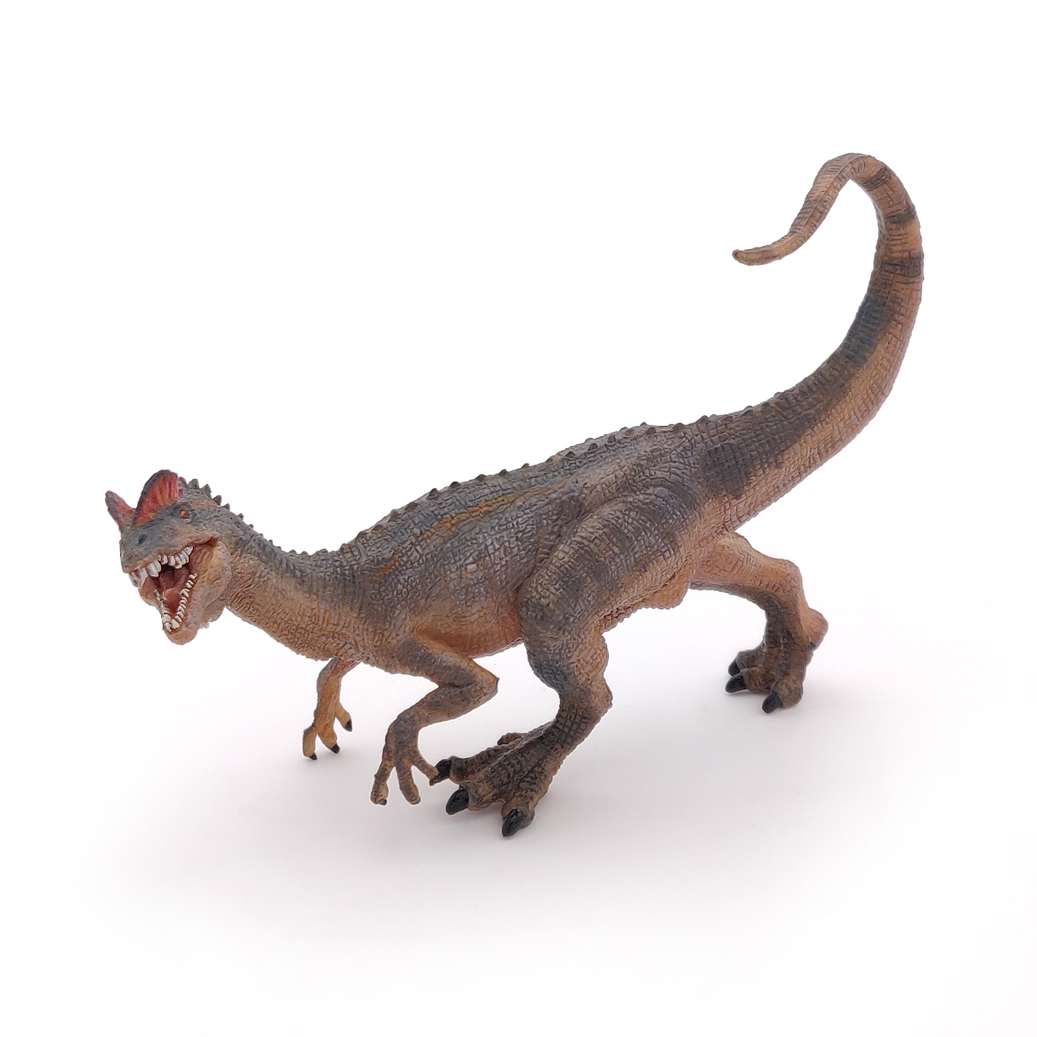 DILOPHOSAURUS