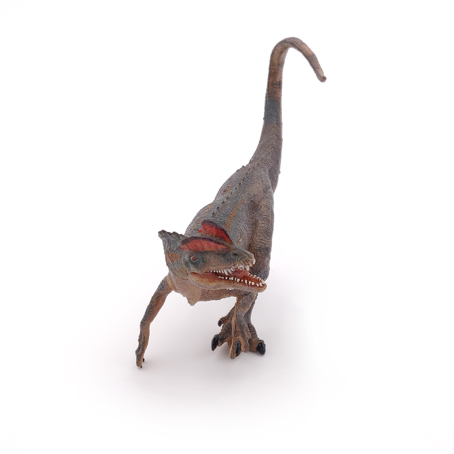 DILOPHOSAURUS