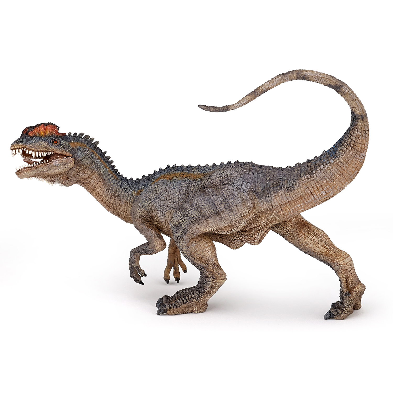 DILOPHOSAURUS