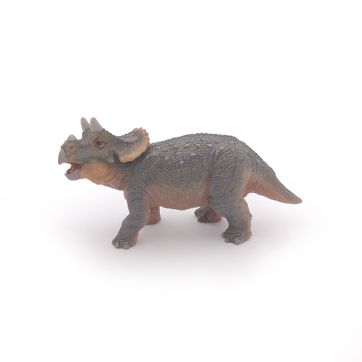 TRICERATOPS MLÁDĚ