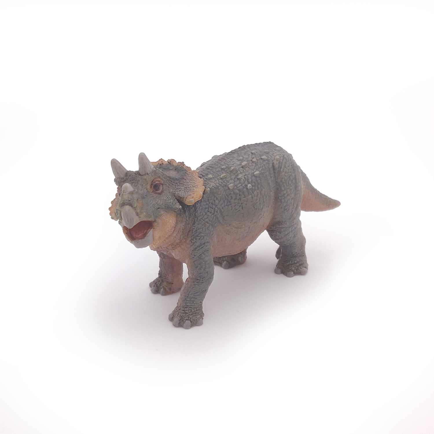 TRICERATOPS MLÁDĚ