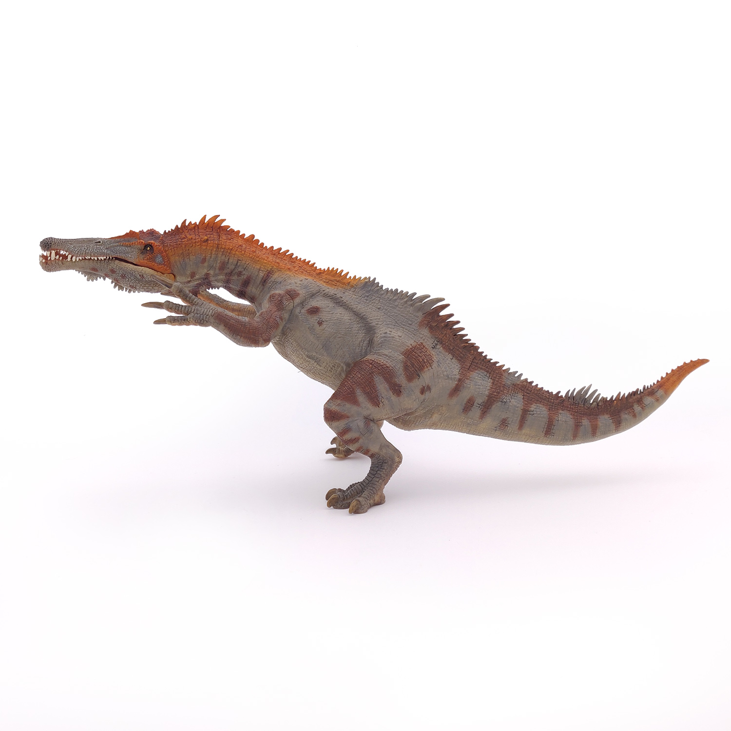 BARYONYX