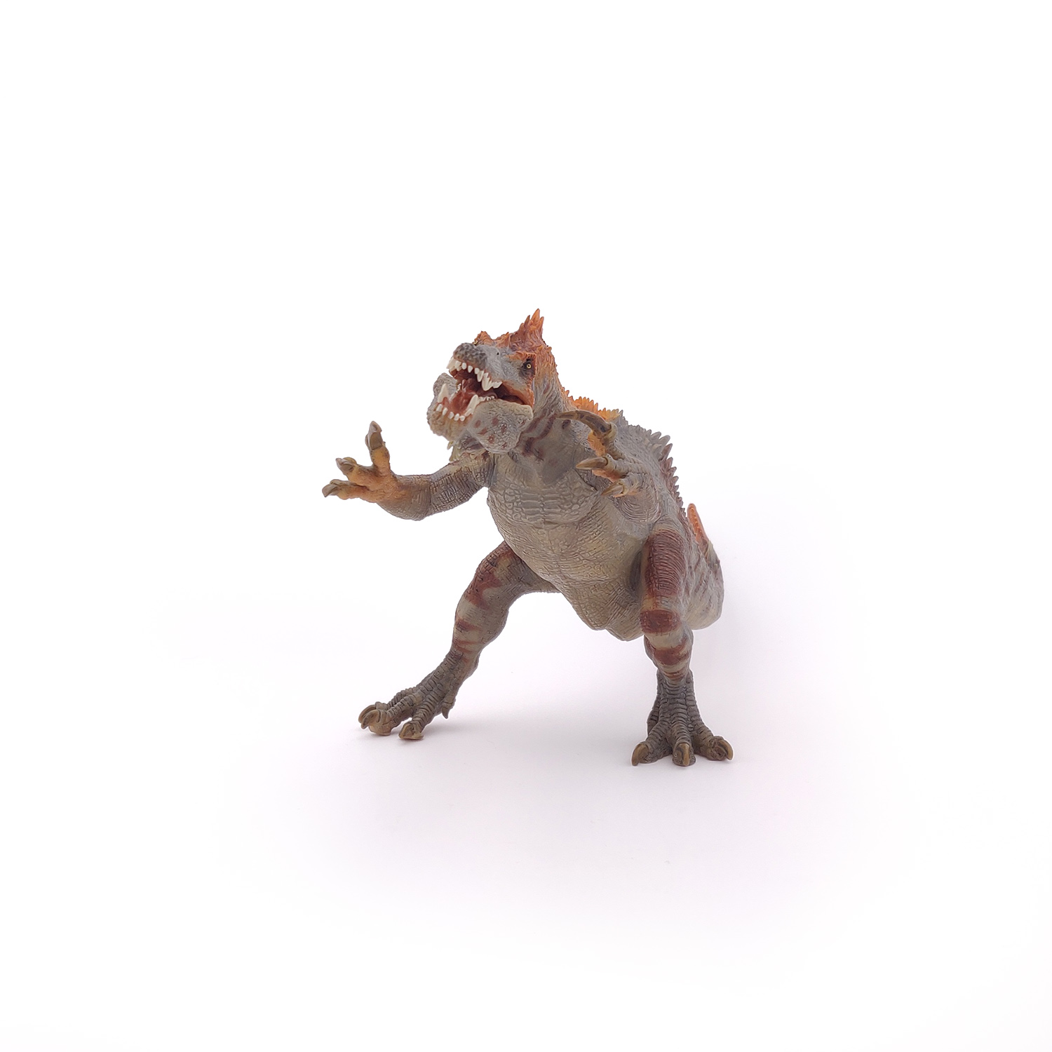 BARYONYX