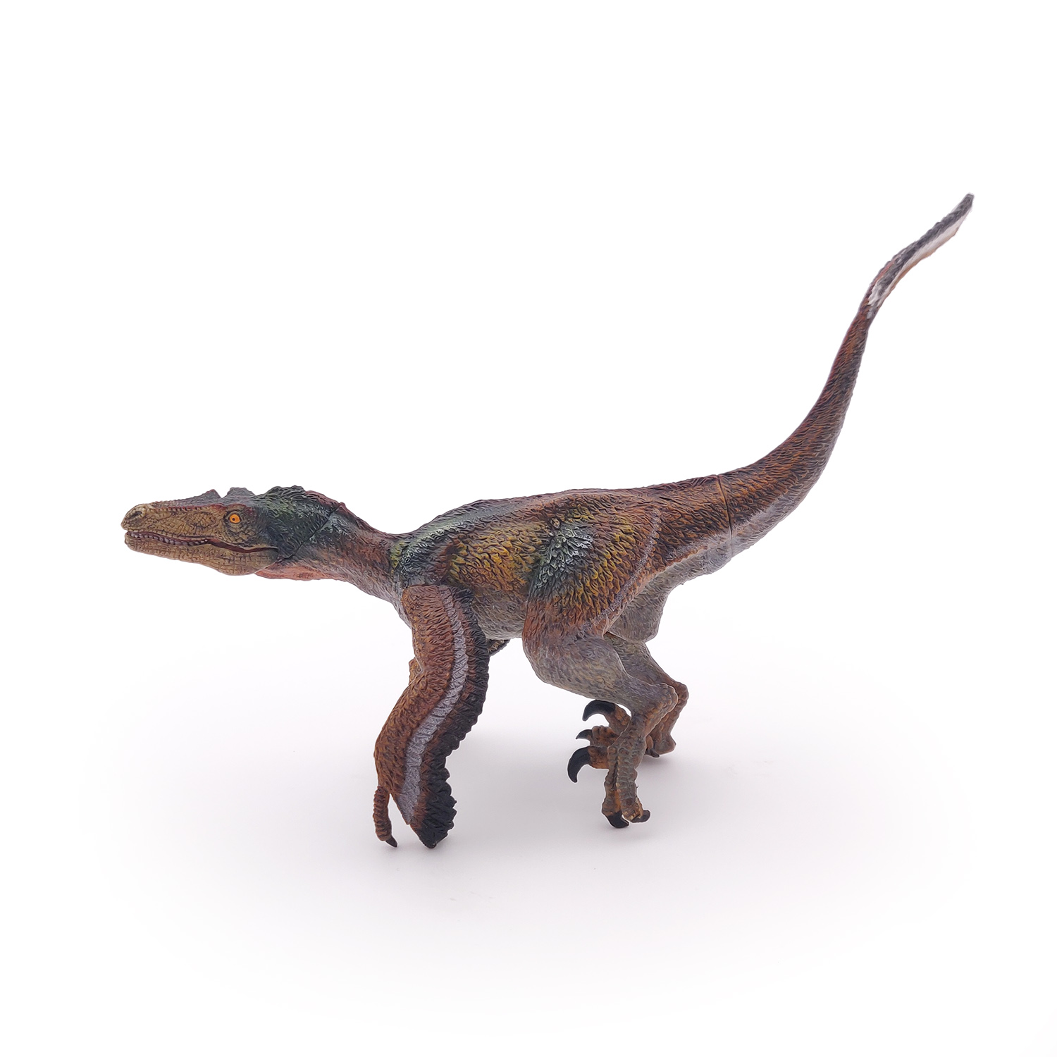 VELOCIRAPTOR