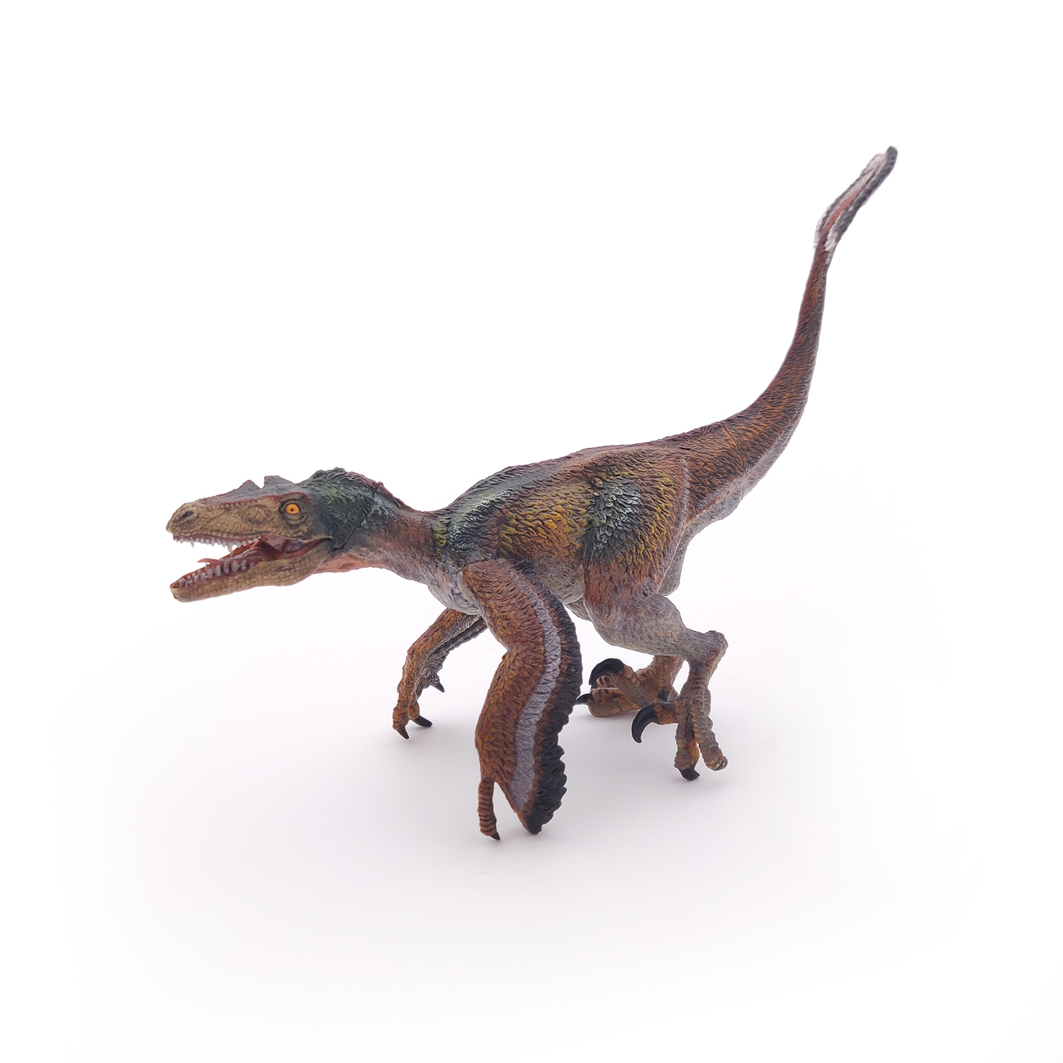 VELOCIRAPTOR