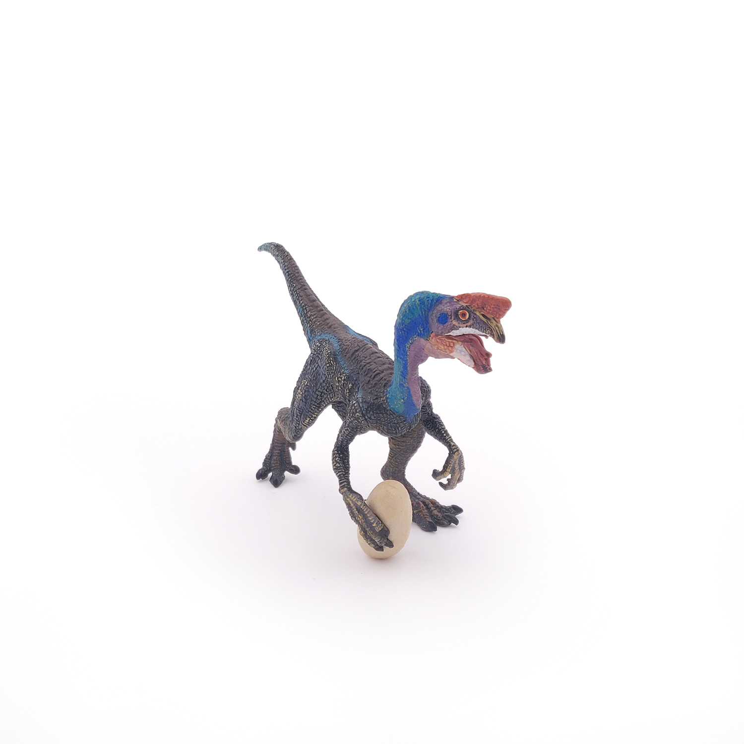 OVIRAPTOR MODRÝ