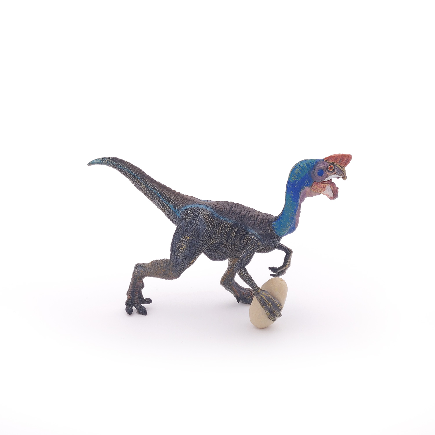 OVIRAPTOR MODRÝ